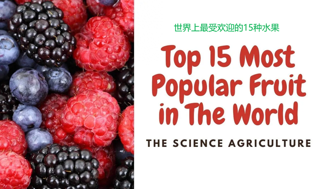水果|世界上最受欢迎的15种水果