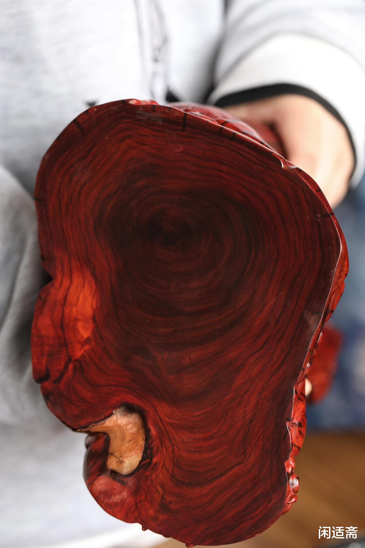 春笋|崭露头角，一鸣惊人，紫檀仿真雕，春笋