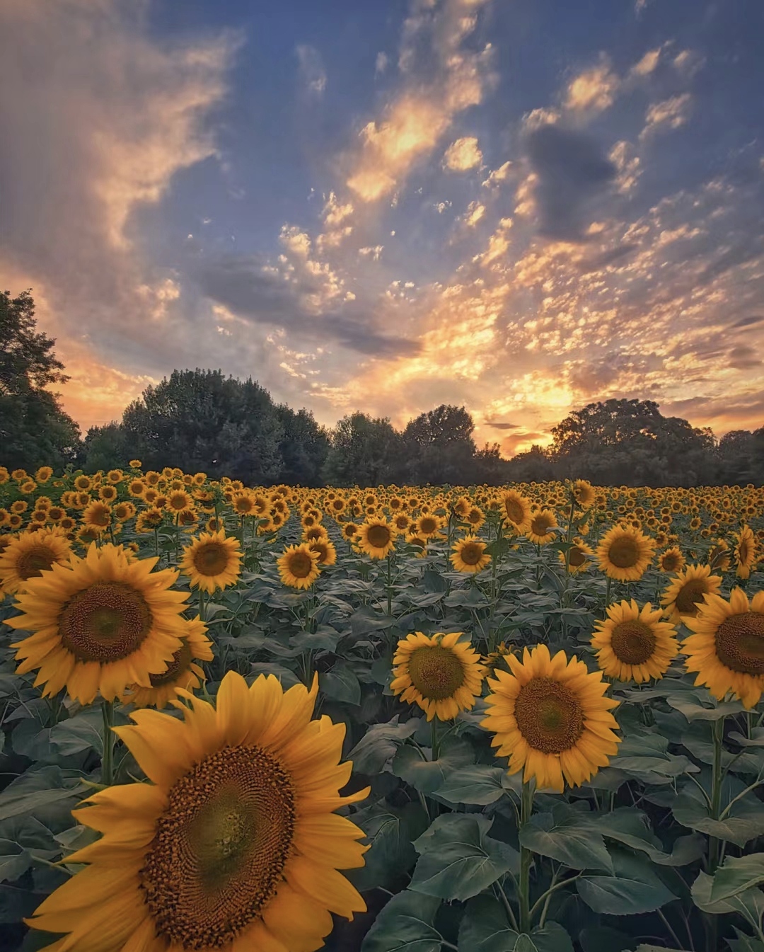 5个有意识的日常习惯,助你拥抱更积极的生活