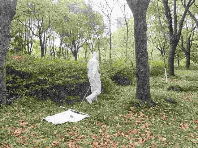 高血压|蜱虫进入活跃期！专家：被咬后切勿生拉硬拽