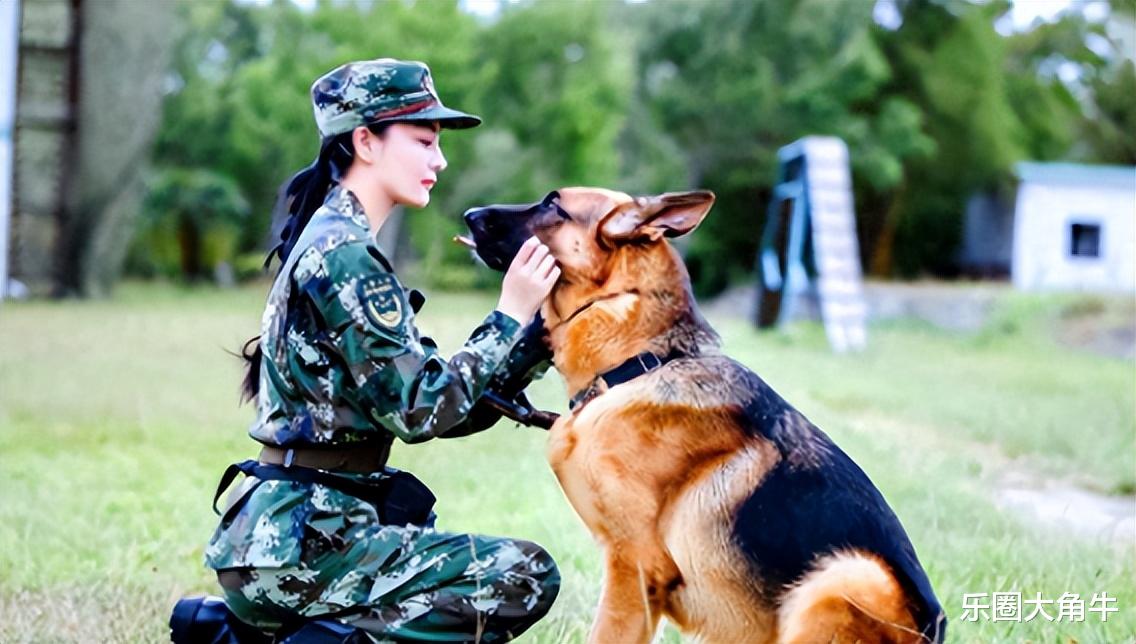“靠嫁人成功翻身”的张馨予:她老公何捷,只能说真的很牛!