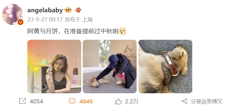 Angelababy罕晒母子合影,与名叫阿黄的爱犬同框引热议