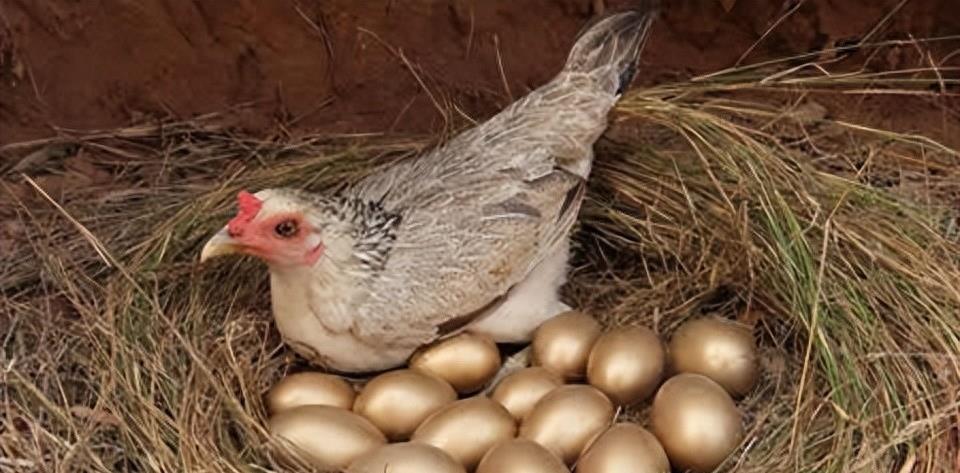 有一种“反噬”叫福原爱，离婚2年后，前夫扯下了她最后一块遮羞布