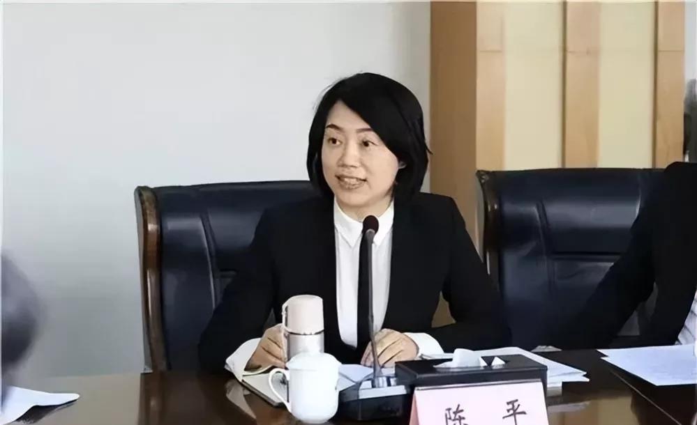 陈平由市长破格提拔为副省长,34岁正处,46岁正厅,52岁弯道超车 - 娱乐