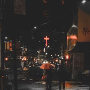泽桥豆