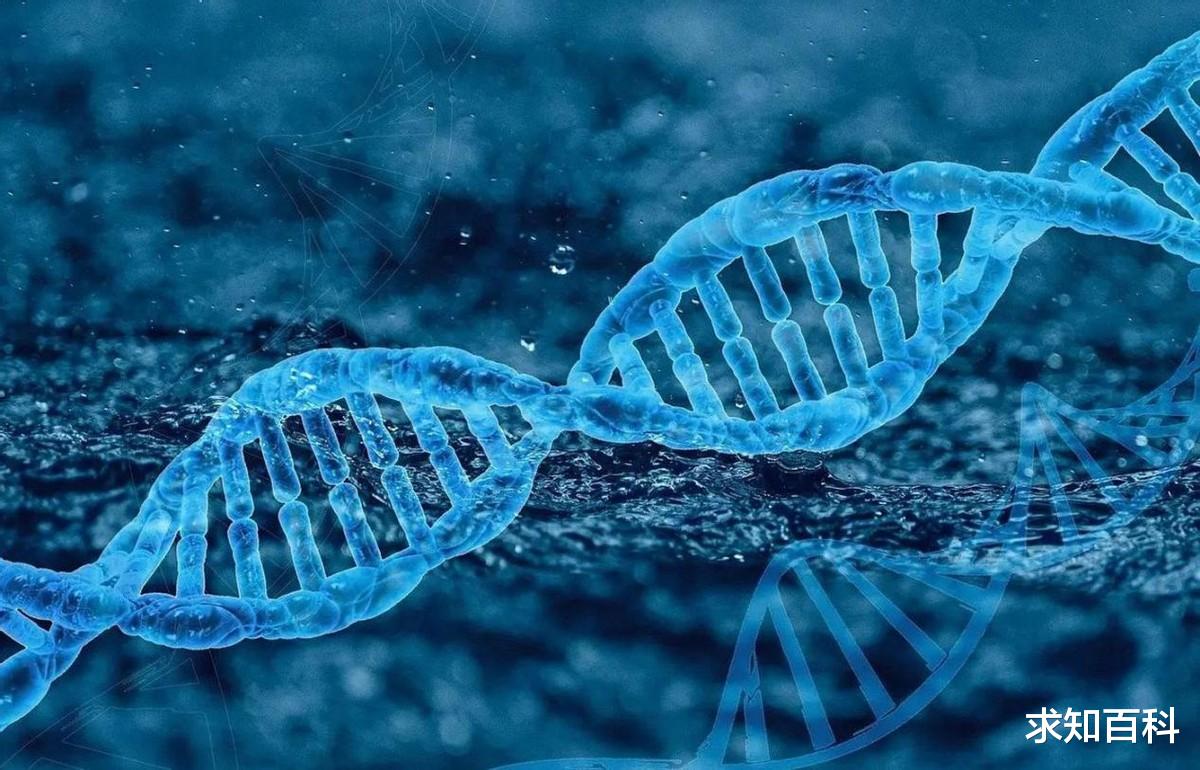 人类体温持续降低,可能已经停止进化,都是一夫一妻惹的祸?
