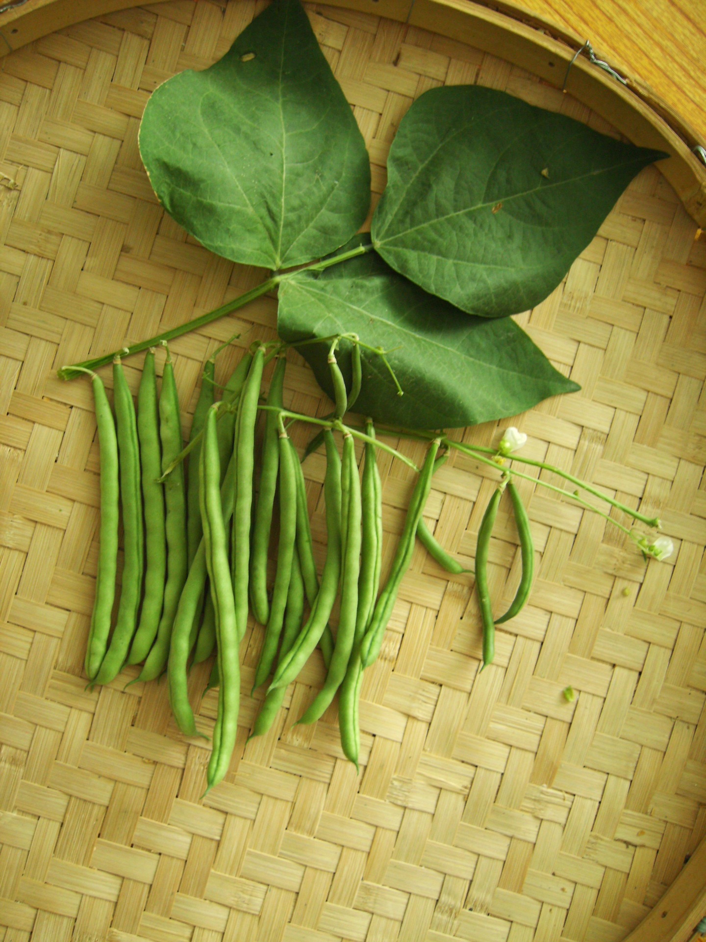 越吃越“掉秤”的5种食材，坚持每天吃一点，清肠刮油，吃出小蛮腰