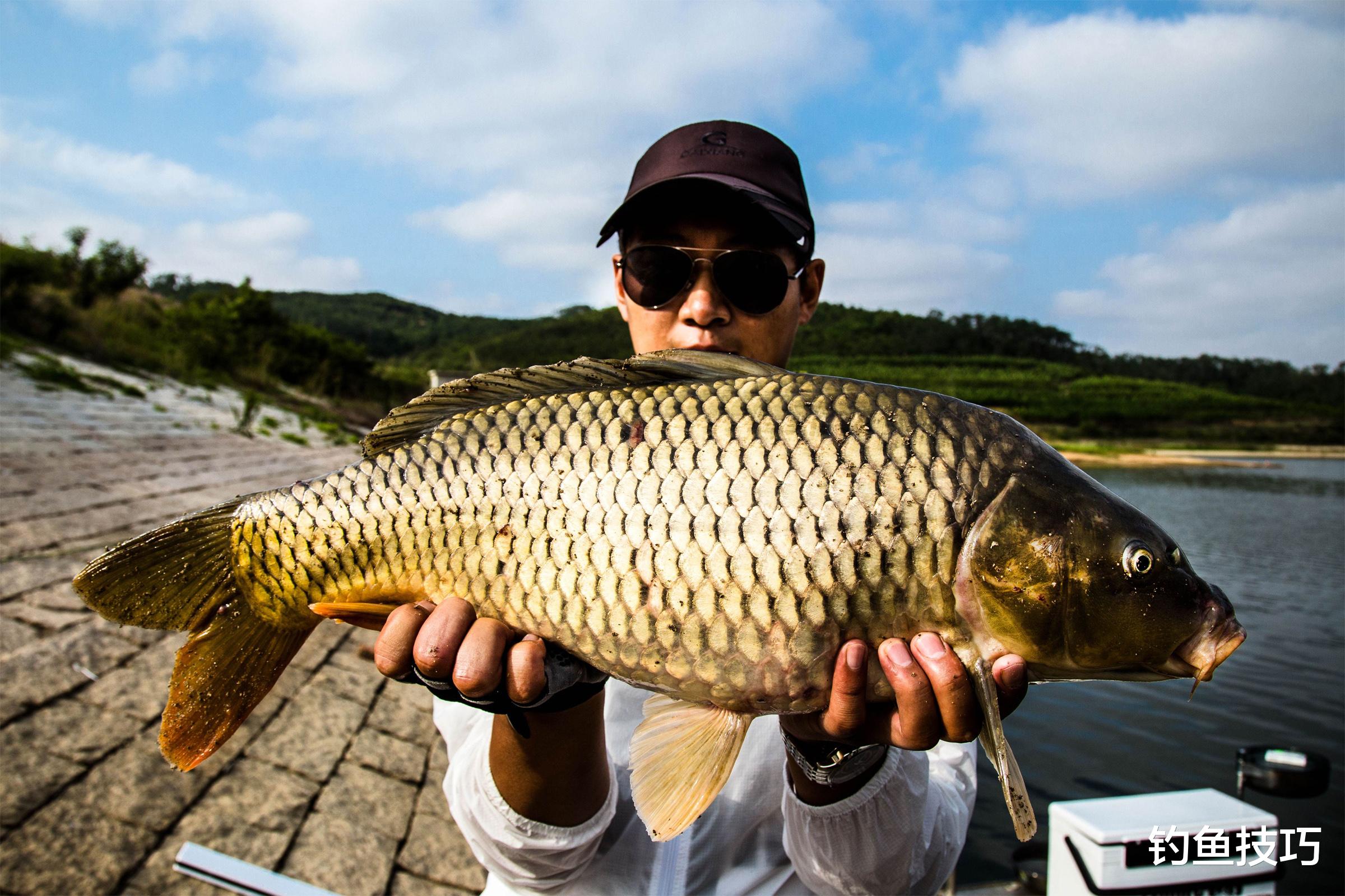 |野钓大鱼和小鱼的4个秘密,都是野钓的精华内容