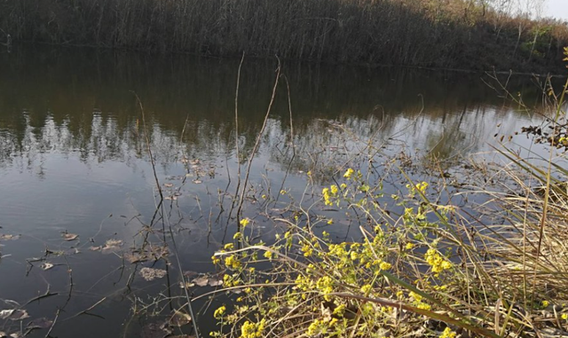 实战中摸索出的5个技巧,专攻大鱼