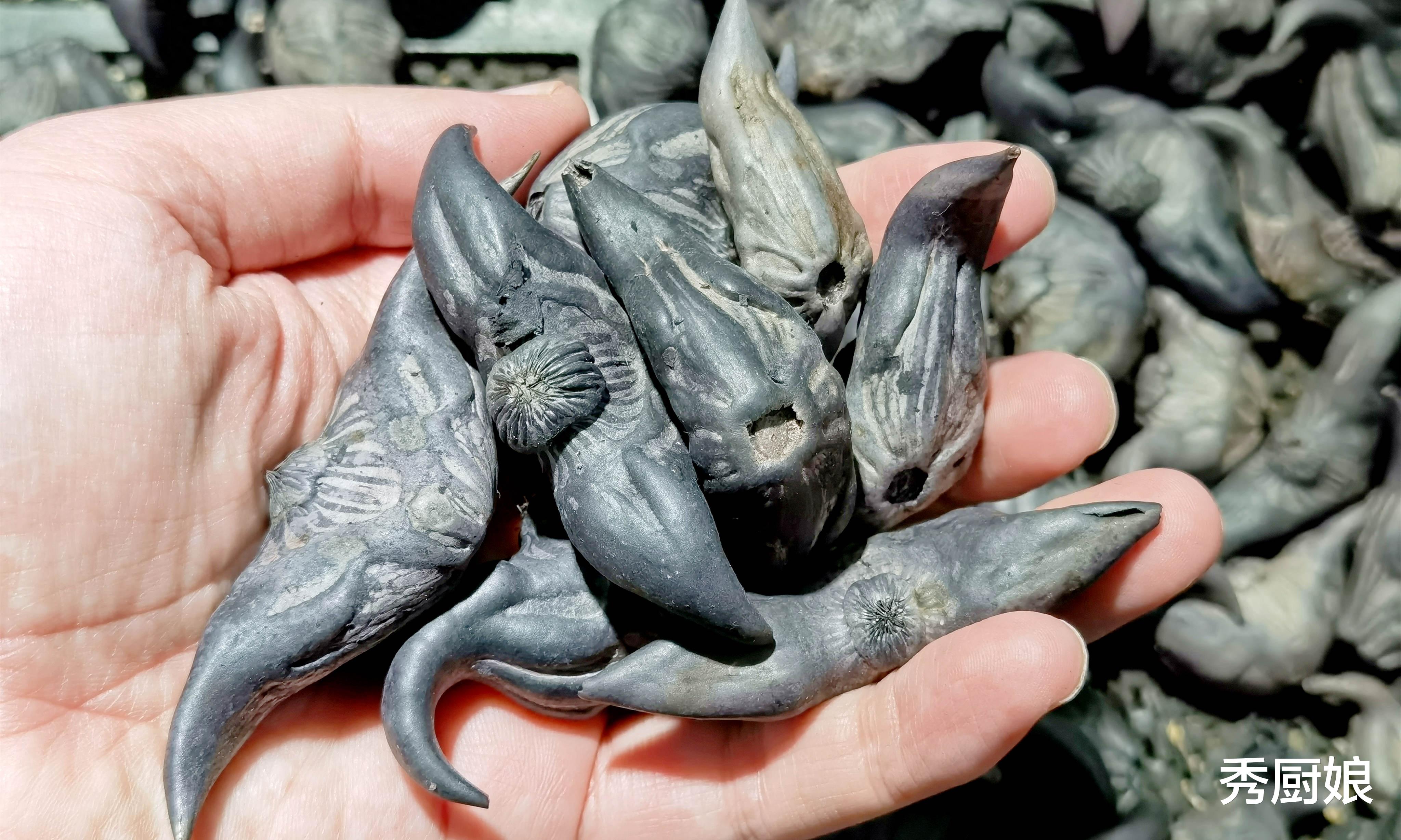 菱角|生吃降火，熟吃健脾！正大量上市，3元1斤，每天吃一点，好处多多