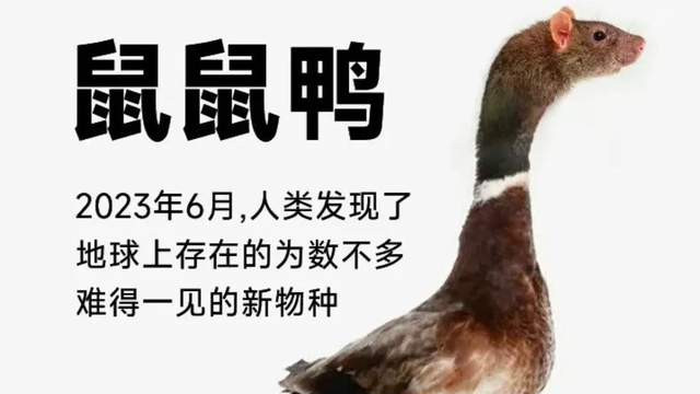 |美食大佬成功复刻名菜“鼠头”鸭脖，反被网友怒斥，究竟怎么回事