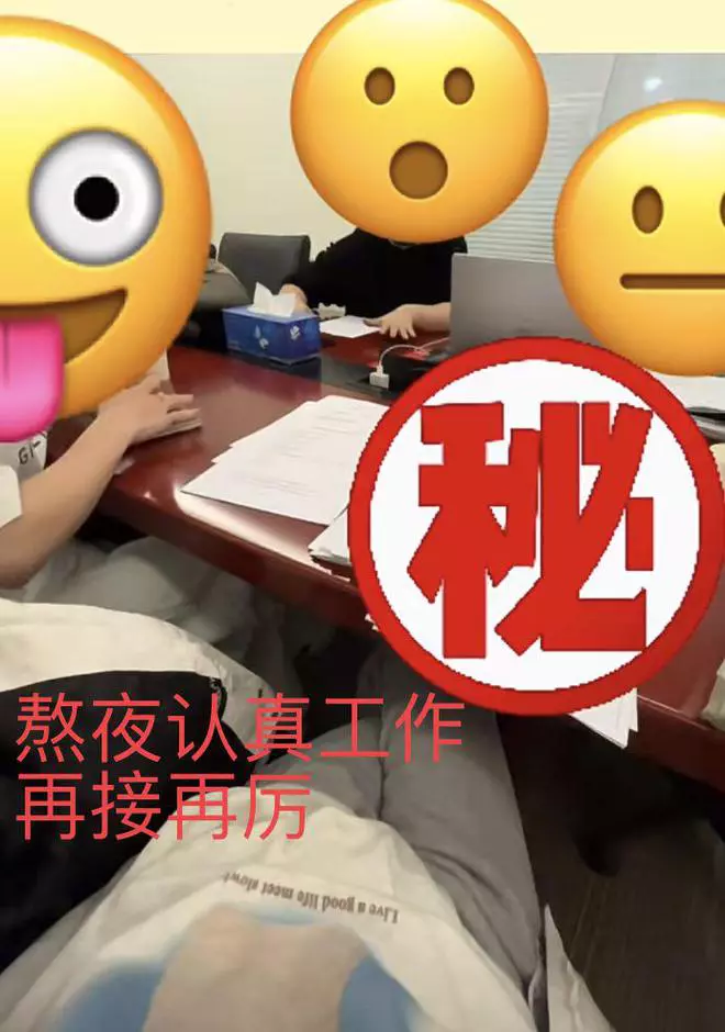 马蓉|马蓉直播哭穷：经济压力太大，贵的猫粮买不起，疑败光几千万家产