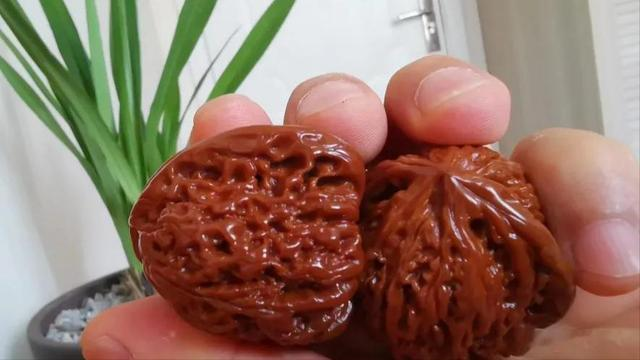 核桃|文玩界的“核桃黄”,到底哪种黄才算好的?