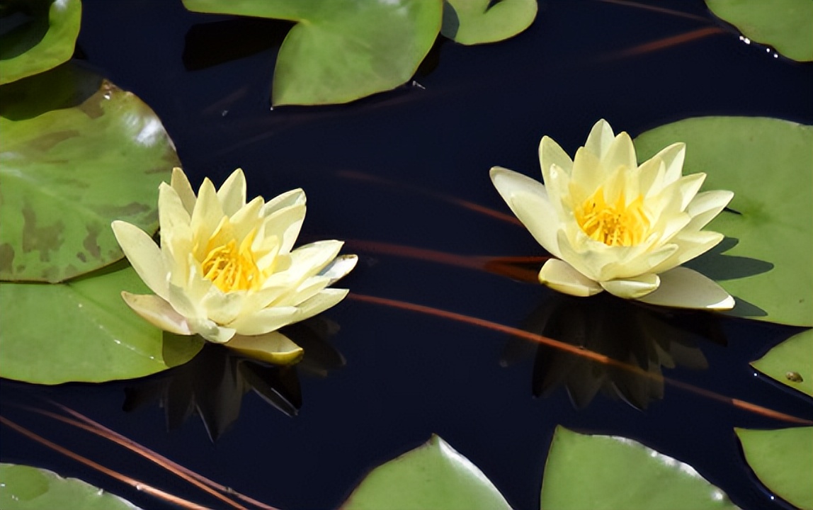 求职|我后知后觉才明白的6件事