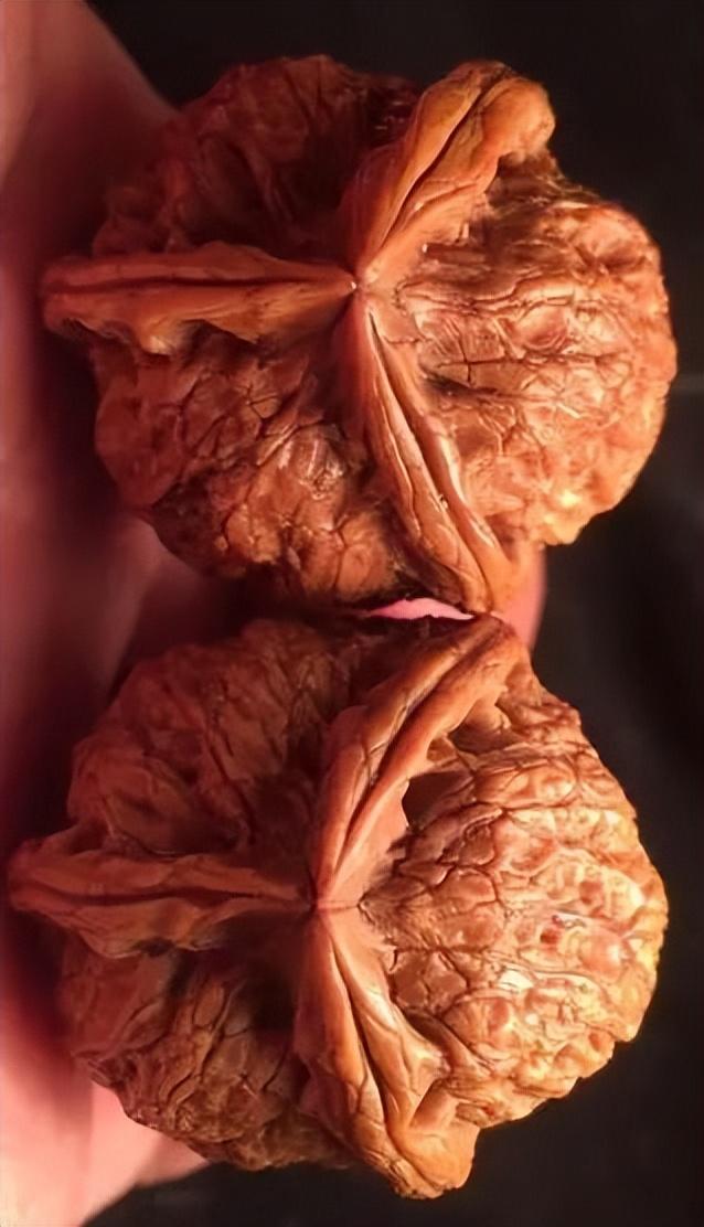 文玩核桃|文玩核桃完美包浆玉化,只需要这么做!新核友必问的9个问题