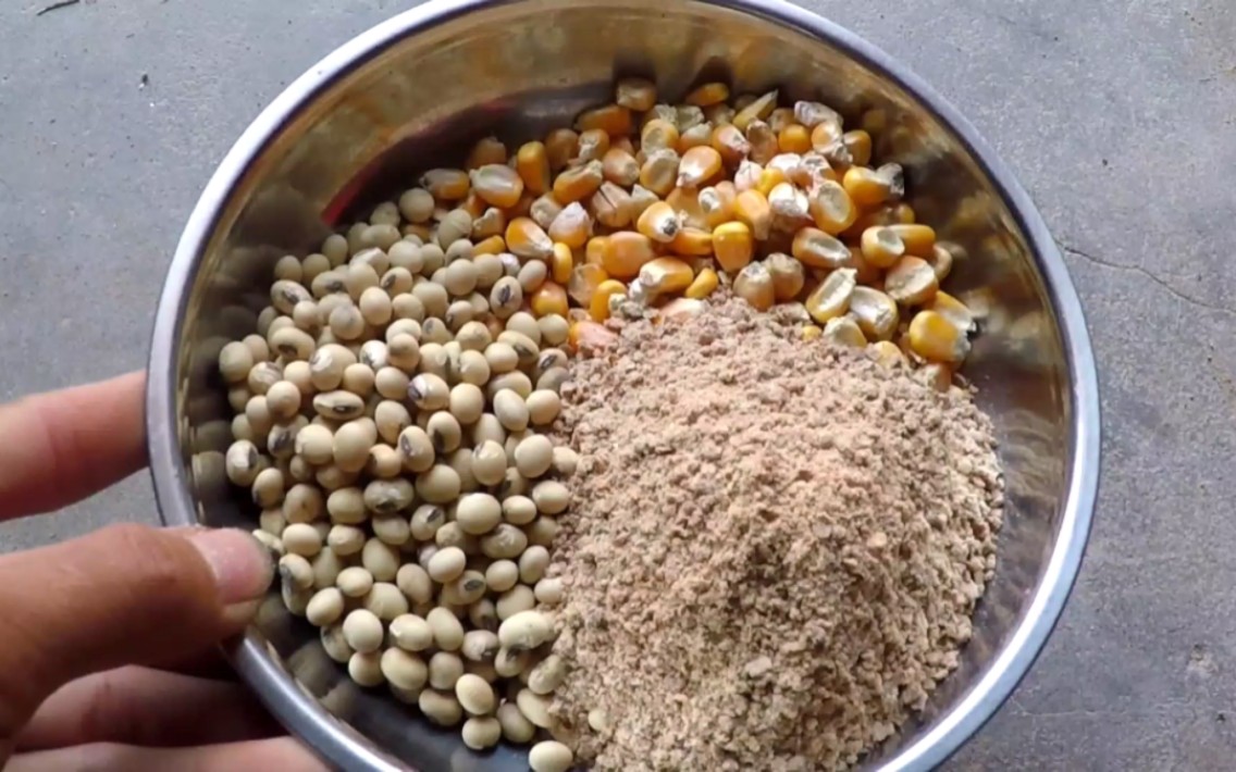 饵料|钓鱼真的会穷三年？怎么不花钱或少花钱？分享省钱技巧