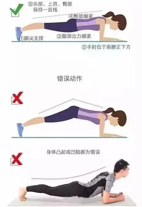 花生|平板支撑及其变式训练动作！