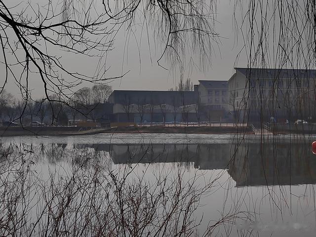 鲫鱼|钓鱼日记——2023年3月4日(巩华城夜钓)