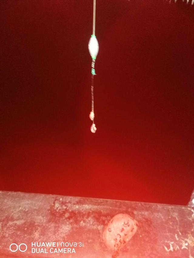 |夜战桥头，筏竿战板鲫。