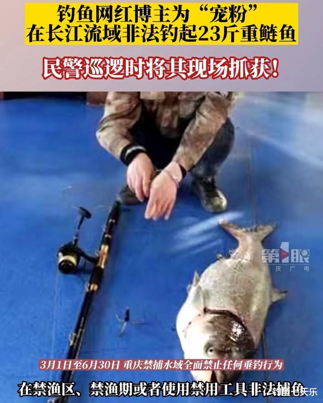 |重庆钓鱼男子长江钓到23斤大鱼,最高可判三年?网友热议