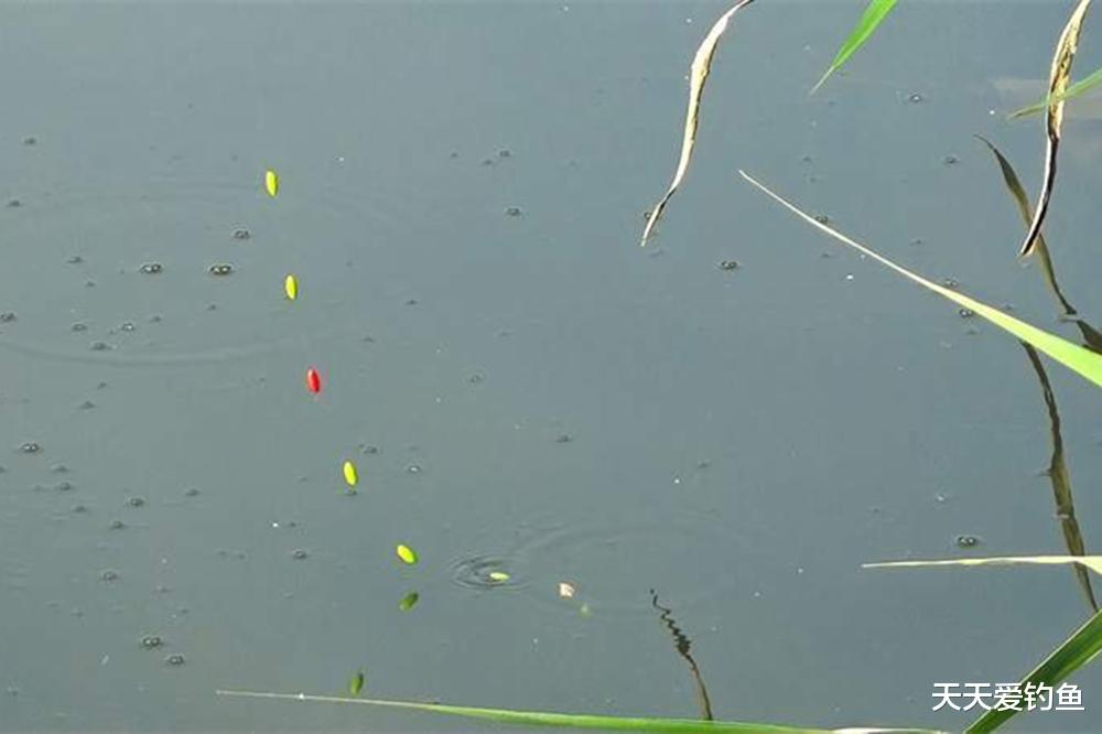 冬季野钓鲫鱼，天气越冷越用这种钓法，渔获肯定不会差