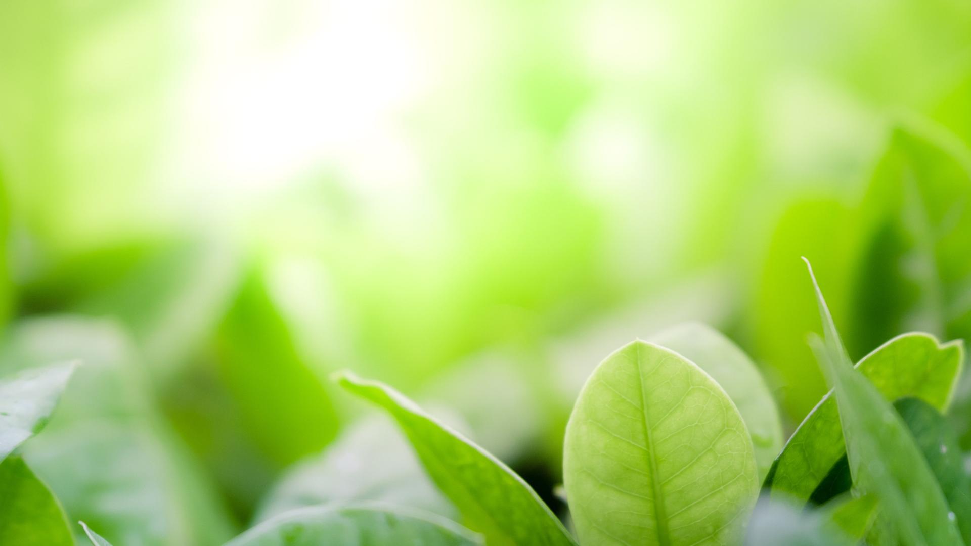 这一职业正在被国家大力推广？新职业科普！