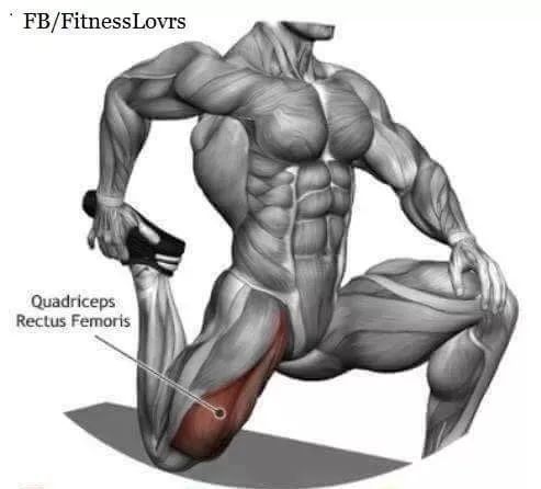 高血压|到底什么是“死肌肉”？