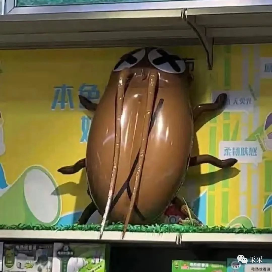 曾国藩|找工作被诊断为弱智？别太离谱了丨搞笑囧图