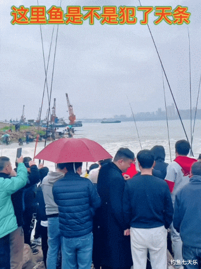 钓1斤鱼,至少带动50元GDP,为何一些“专家”仍不放过休闲垂钓