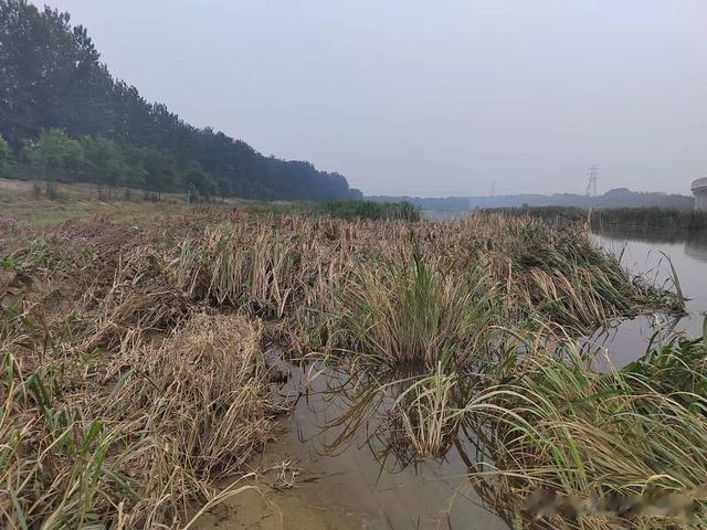 钓鱼日记——2023年8月10日