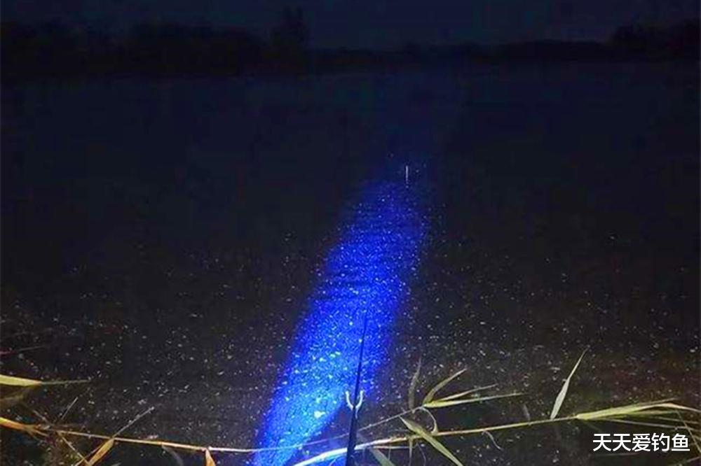 夜钓|夏季夜钓,用好4个连竿秘籍,大货一钓一个准