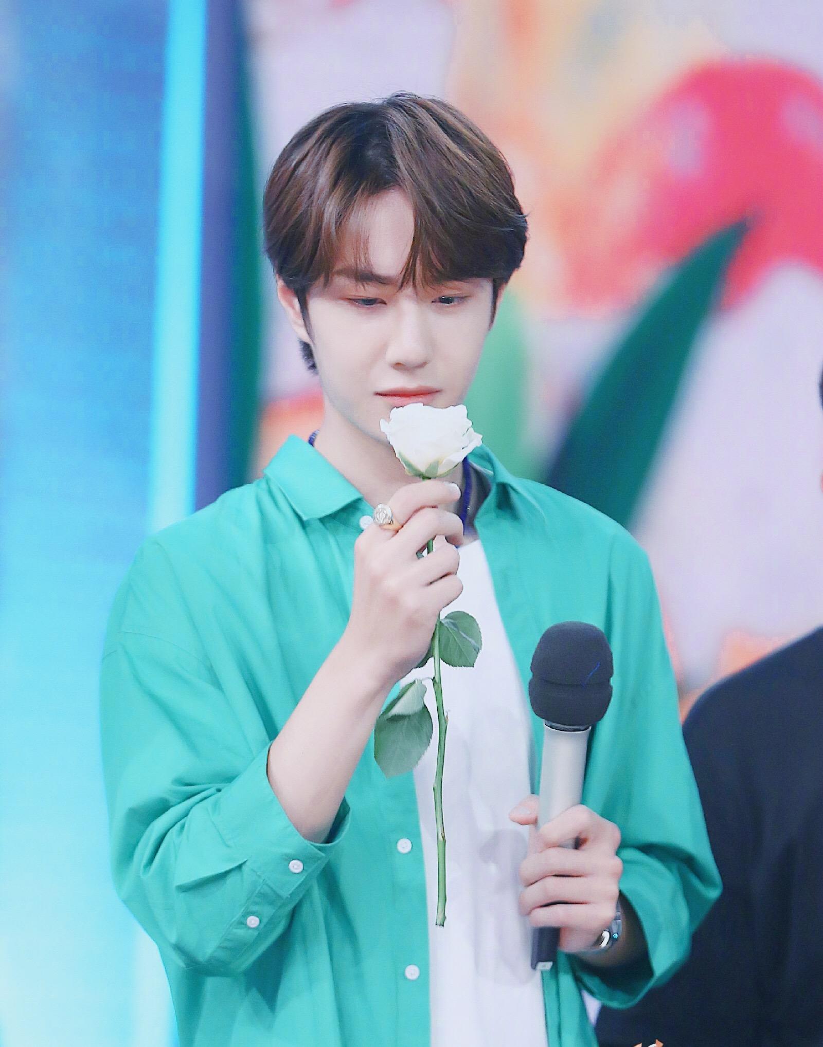 整容|明星的“倔强”叫没整容,微调我忍了,这9位方脸变小V脸真忍不了