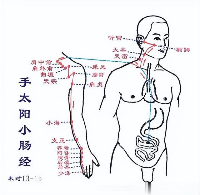 经络通，全身通，12经络养生顺口溜，方便对照