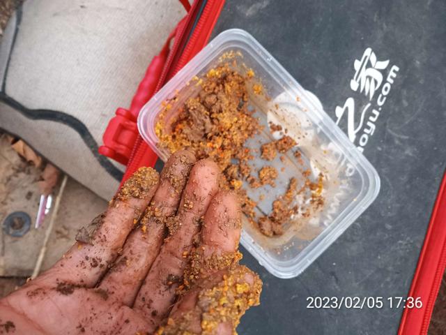 |近水楼台隔夜窝,一尾黄桑一尾鲫