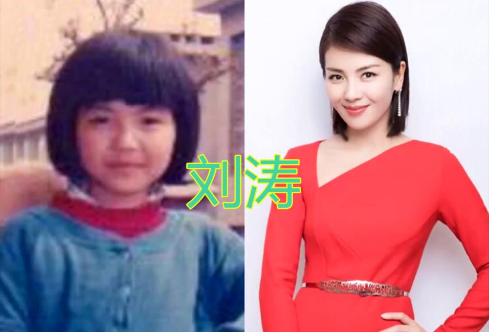 风流贤妻刘涛的花花世界，颠覆了人们的想象！远比想象的要“混乱”