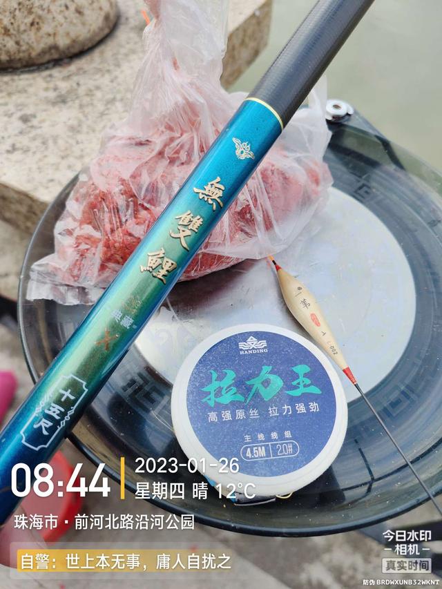 |退水浅中找深,上小钩却遇大鱼,欢乐惊喜一样都不缺