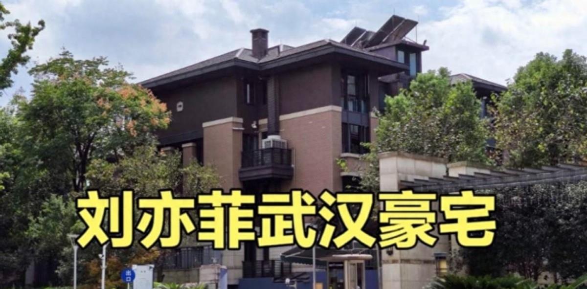 36岁的“神仙姐姐”刘亦菲,身价百亿豪车遍地,为何无人敢娶?一直单身