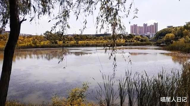 电影|武汉城区有座遍布湖景的高校，规划如星级景点，读书学习的好地方