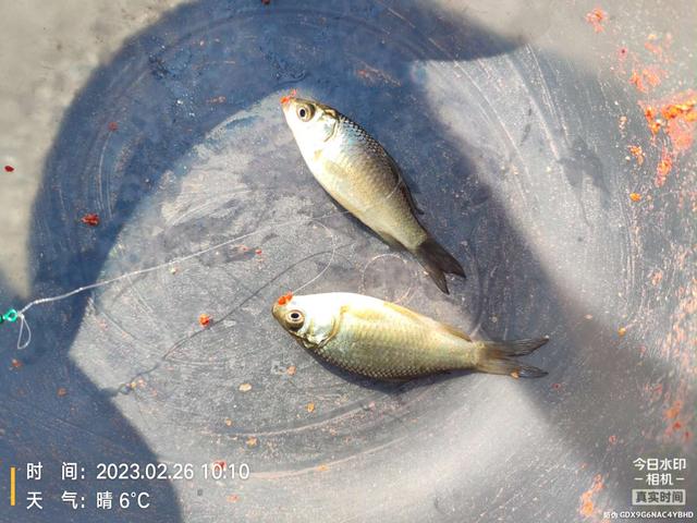 空军|虽未空军,但比空军郁闷,爱护资源,人人有责!