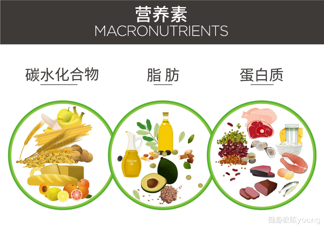 减脂|20个让你发胖的行为,有些你认为减脂的行为实际在增肥