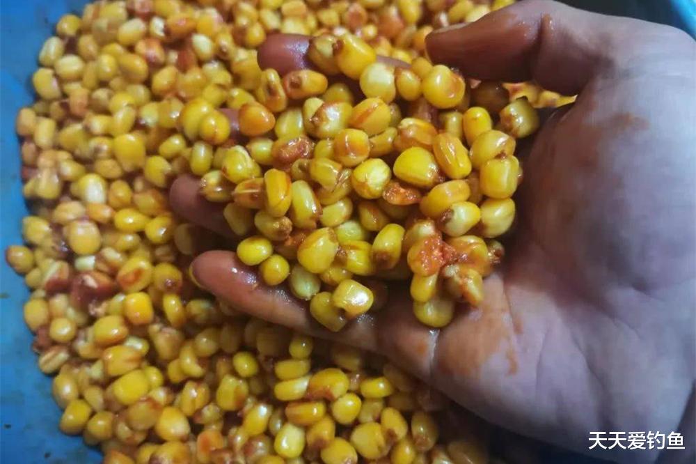 仲秋野钓大水面,自制“绝杀”老玉米,专门“斩”大鱼