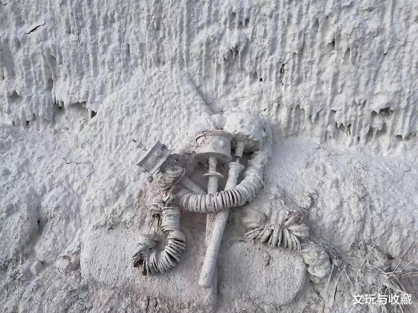 我与手串到底是谁盘了谁？一个圆润红亮，一个圆滑油腻。