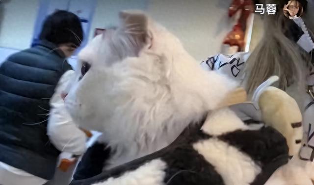 才出狱就被网友扒出买华为7000块的手机,网友:瘦死的骆驼比马大