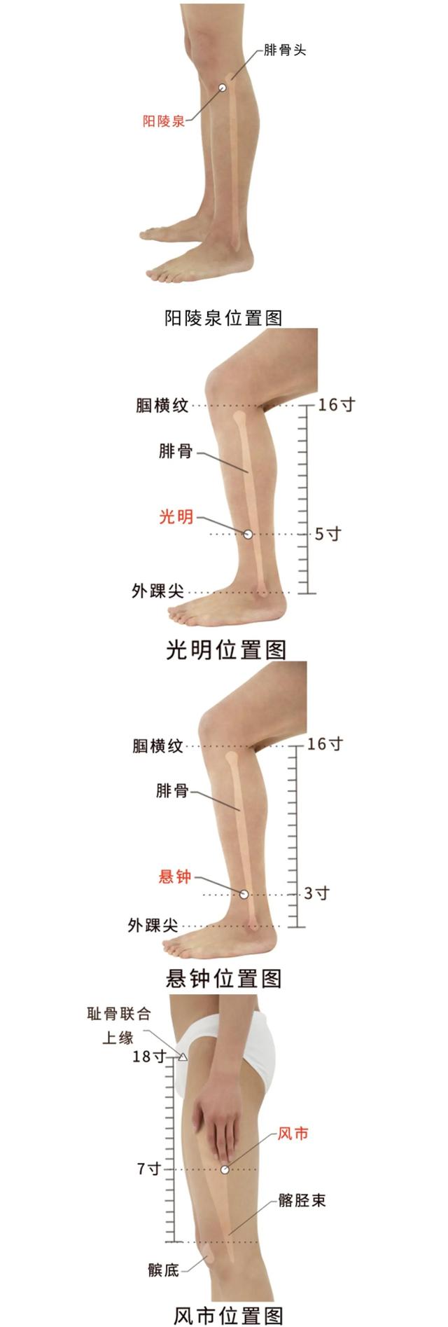 胆经堵，全身堵！疏通胆经，改善白发、瘦大腿，一下年轻好几岁！