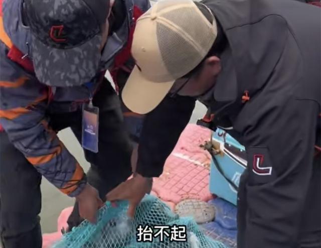 硅胶|刘志强燕语湖比赛复盘，第一天细节制胜，最后因挂底痛失好局