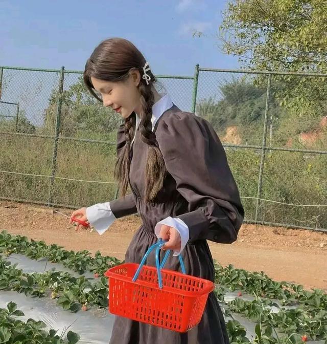 情满四合院|沈梦辰扎双麻花辫摘草莓,穿着打扮清新感十足,清纯甜美似少女