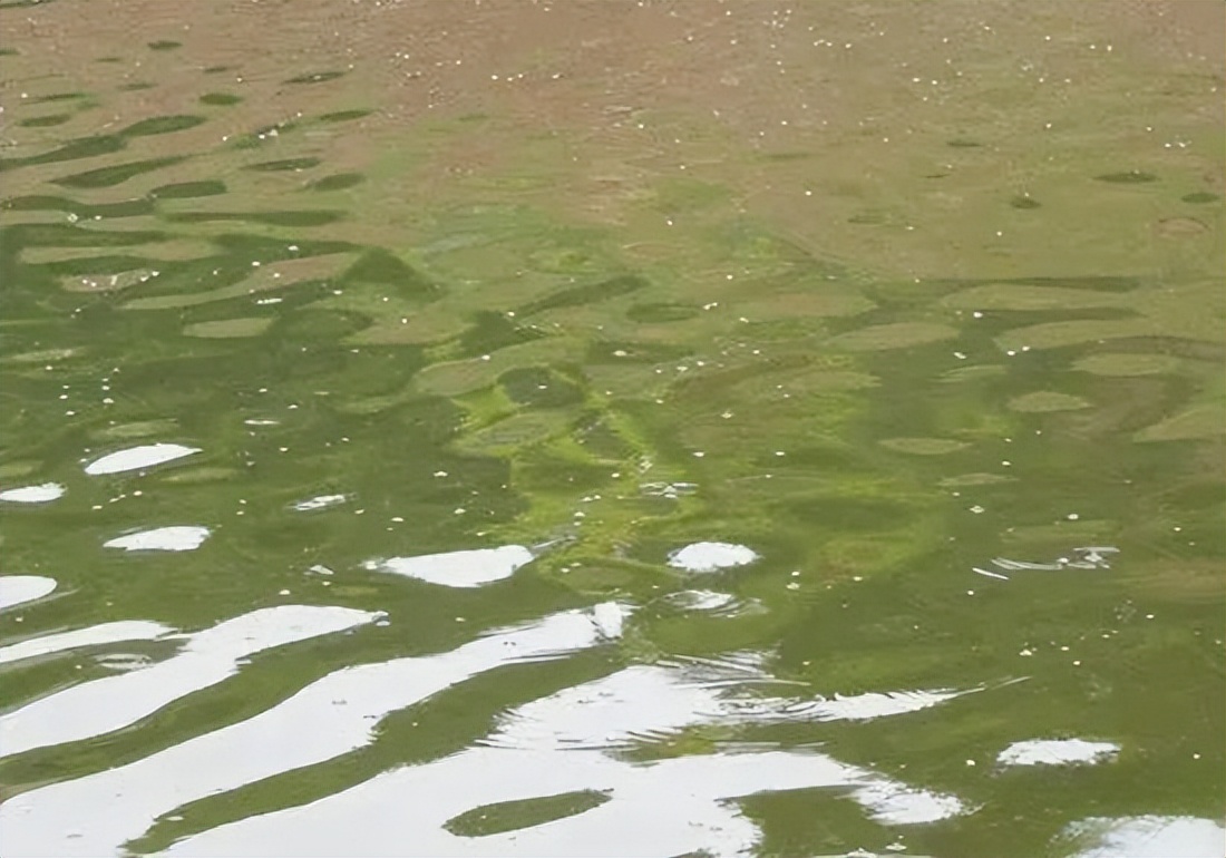 都知道冬季钓鱼要人找鱼,但怎么找?鱼窝在哪?我来教你一招