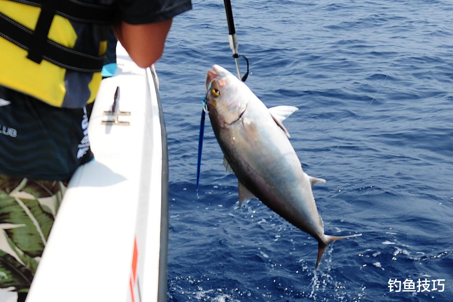 秋季海钓的5个要领,秋季海钓的必备知识