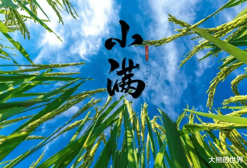 排骨|5月21号小满，记得多喝5道“消暑汤”，好喝不上火，舒服迎接酷暑