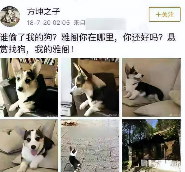 张译|以为是假新闻,其实是真新闻,张译、袁立、华晨宇,个个离谱惊人